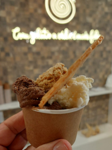 Galeria Macadamia