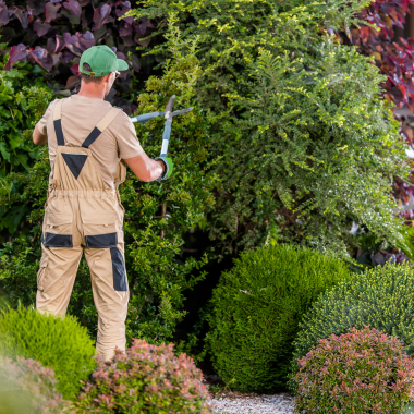 Manutenção de áreas verdes e jardinagem